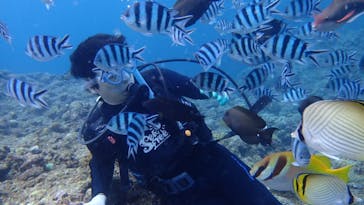 ダイビングショップ Sea Free（シーフリー）に投稿された画像（2020/6/9）