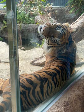 神戸どうぶつ王国に投稿された画像（2020/6/9）