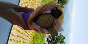 湯沢高原スキー場/パノラマパークに投稿された画像（2020/6/10）