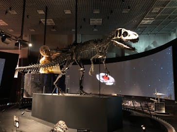 国立科学博物館に投稿された画像（2020/6/10）