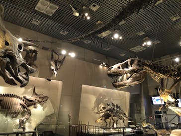 国立科学博物館に投稿された画像（2020/6/10）