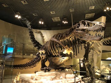国立科学博物館に投稿された画像（2020/6/10）