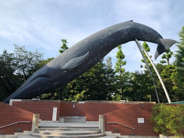 国立科学博物館に投稿された画像（2020/6/10）