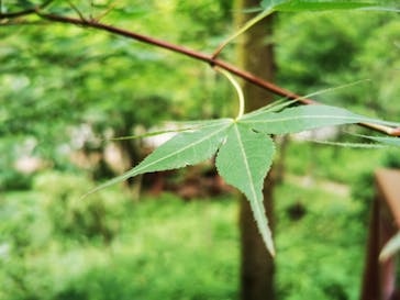 モダン湯治 おんりーゆーに投稿された画像（2020/6/10）