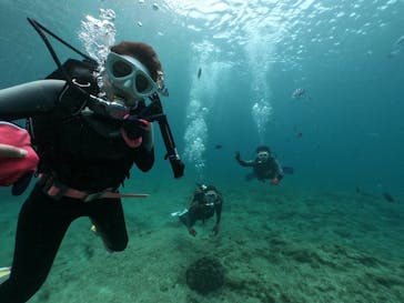 DIVING-SHOP SUNSに投稿された画像（2020/6/11）