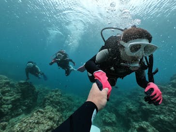 DIVING-SHOP SUNSに投稿された画像（2020/6/11）