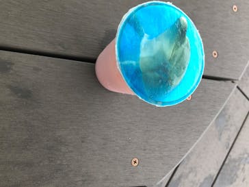 四国水族館に投稿された画像（2020/6/11）