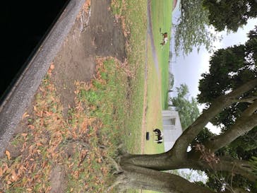 マザー牧場に投稿された画像（2020/6/11）