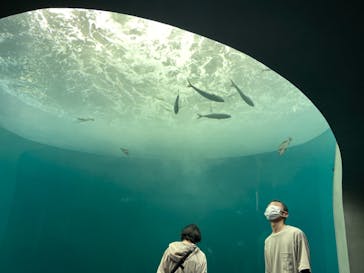 四国水族館に投稿された画像（2020/6/11）