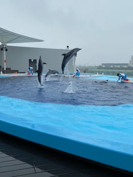四国水族館に投稿された画像（2020/6/11）