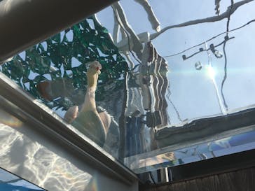 サンシャイン水族館に投稿された画像（2020/6/12）