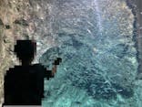 サケのふるさと 千歳水族館に投稿された画像（2020/6/12）