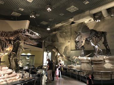 国立科学博物館に投稿された画像（2020/6/13）