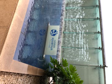 サンシャイン水族館に投稿された画像（2020/6/13）