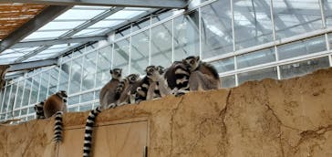 神戸どうぶつ王国に投稿された画像（2020/6/13）