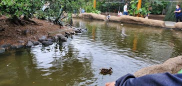 神戸どうぶつ王国に投稿された画像（2020/6/13）