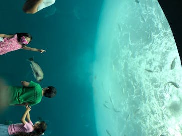 四国水族館に投稿された画像（2020/6/14）