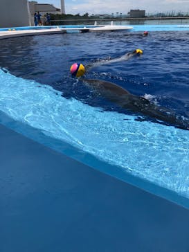 四国水族館に投稿された画像（2020/6/14）