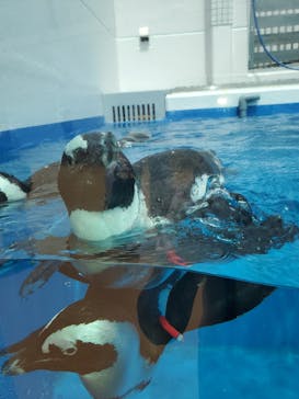 四国水族館に投稿された画像（2020/6/14）