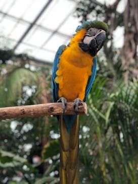 神戸どうぶつ王国に投稿された画像（2020/6/14）