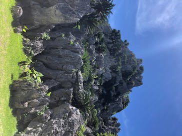 アスムイハイクスに投稿された画像（2020/6/14）