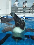 四国水族館に投稿された画像（2020/6/14）