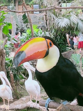 那須どうぶつ王国に投稿された画像（2020/6/14）