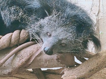 那須どうぶつ王国に投稿された画像（2020/6/14）