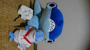 四国水族館に投稿された画像（2020/6/14）