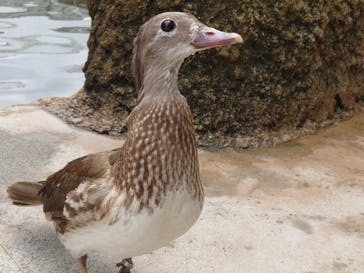 神戸どうぶつ王国に投稿された画像（2020/6/14）