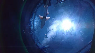 四国水族館に投稿された画像（2020/6/14）