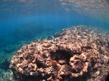 ドロップイン 沖縄に投稿された画像（2020/6/15）