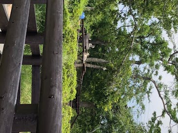 マザー牧場に投稿された画像（2020/6/15）