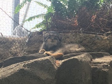 神戸どうぶつ王国に投稿された画像（2020/6/15）