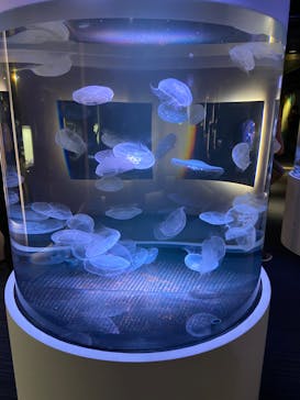 四国水族館に投稿された画像（2020/6/15）