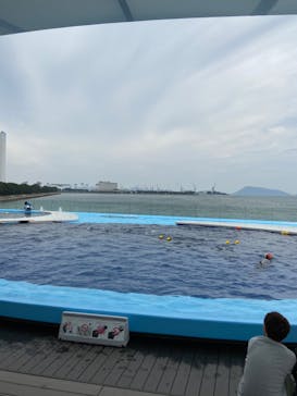 四国水族館に投稿された画像（2020/6/15）