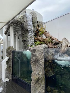 四国水族館に投稿された画像（2020/6/15）