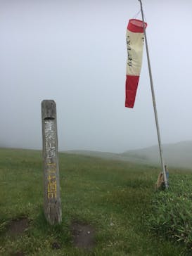 びわ湖バレイに投稿された画像（2020/6/16）