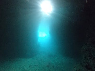 DIVING-SHOP SUNSに投稿された画像（2020/6/16）