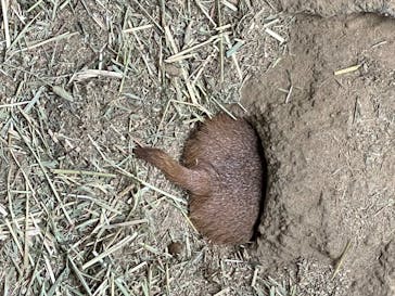 神戸どうぶつ王国に投稿された画像（2020/6/16）