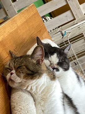 神戸どうぶつ王国に投稿された画像（2020/6/16）