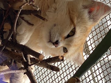 神戸どうぶつ王国に投稿された画像（2020/6/16）