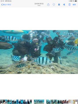 武藤潜水に投稿された画像（2020/6/16）