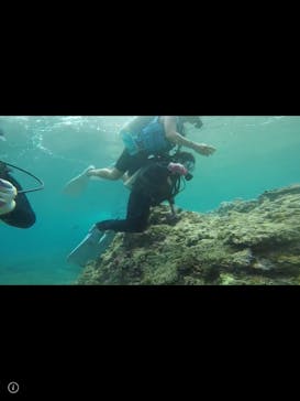 武藤潜水に投稿された画像（2020/6/16）