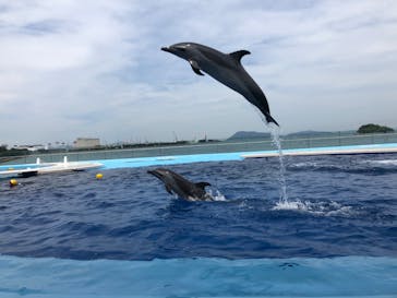 四国水族館に投稿された画像（2020/6/17）