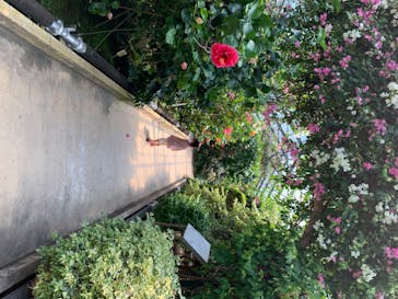 熱川バナナワニ園に投稿された画像（2020/6/17）