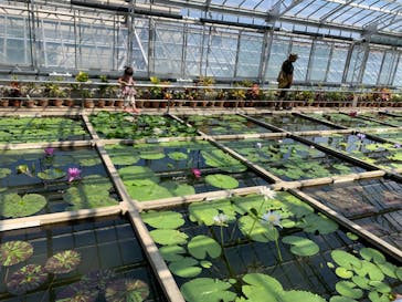 熱川バナナワニ園に投稿された画像（2020/6/17）