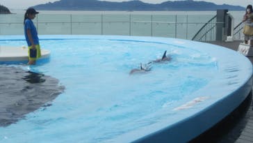 四国水族館に投稿された画像（2020/6/17）