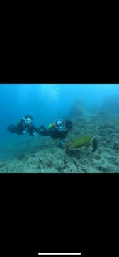 青の洞窟専門店　沖縄ダイビングショップ和に投稿された画像（2020/6/17）