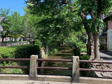 UraUraTour京都に投稿された画像（2020/6/17）